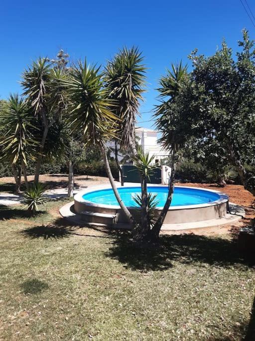 Vivenda Com Piscina Ria Formosa